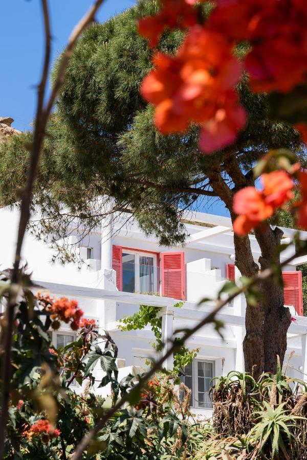 Rhenia Hotel Tourlos Dış mekan fotoğraf