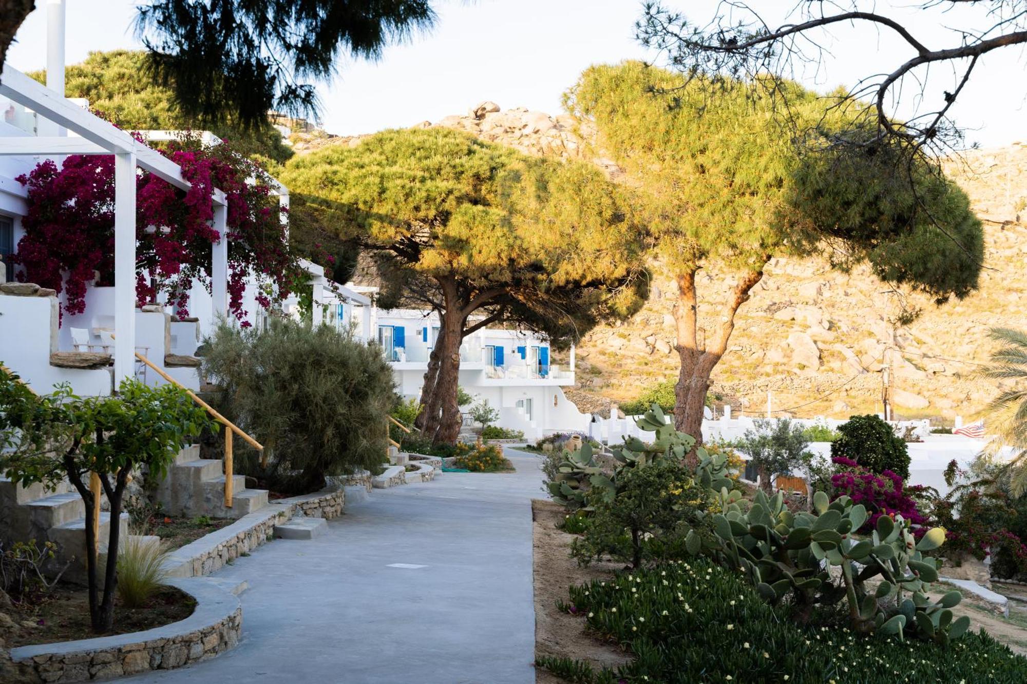 Rhenia Hotel Tourlos Dış mekan fotoğraf